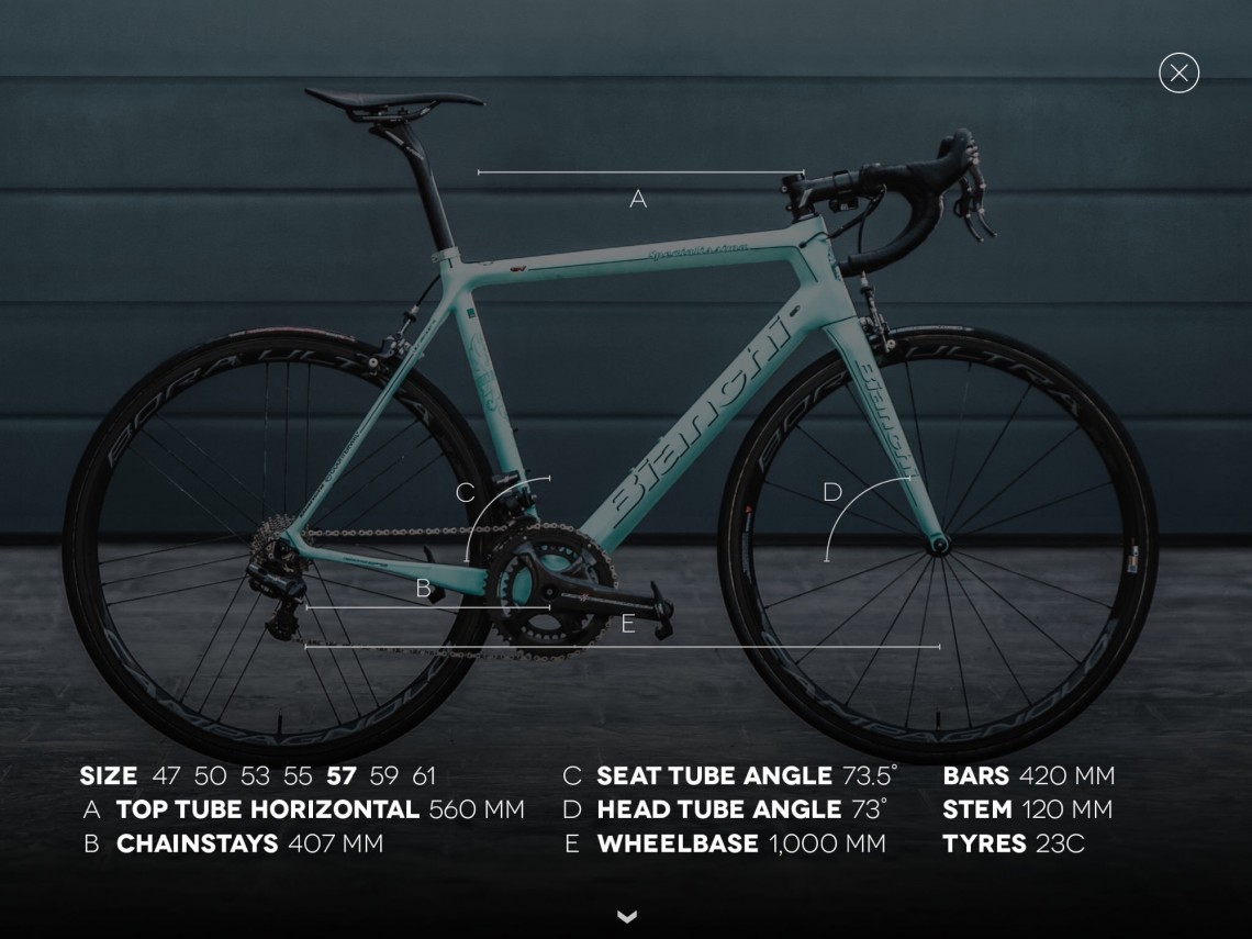 The geometry of the Bianchi Specialissima.